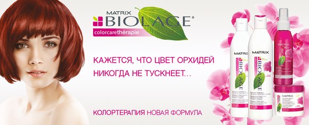 ЦВЕТ ОРХИДЕИ НИКОГДА НЕ ТУСКНЕЕТ